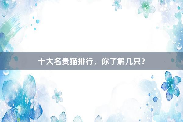十大名贵猫排行，你了解几只？