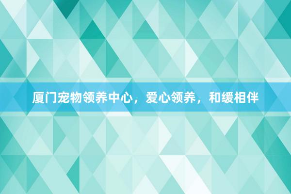 厦门宠物领养中心，爱心领养，和缓相伴