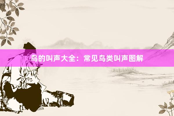 鸟的叫声大全:常见鸟类叫声图解