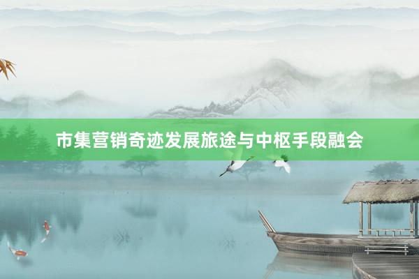 市集营销奇迹发展旅途与中枢手段融会